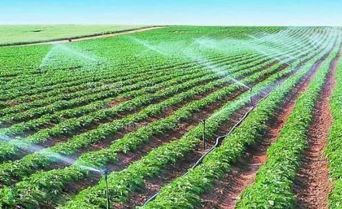 爆操尤物农田高 效节水灌溉
